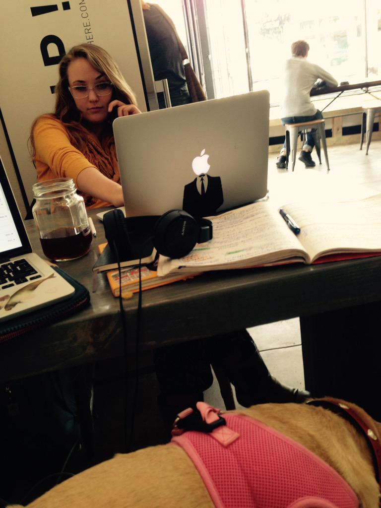 twoevilactors's tweet image. Our new offices. Complete w Puggle on lap. #brainroom #danikillinit #2ea #pugglesighting