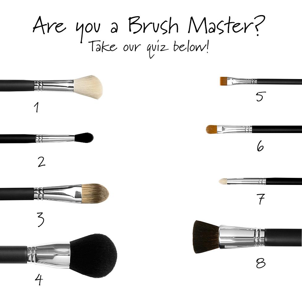 FACEatelier's tweet image. Which of these makeup brushes is considered the “mistake proof” brush? #makeup #beauty #bblogger #FACEatelier