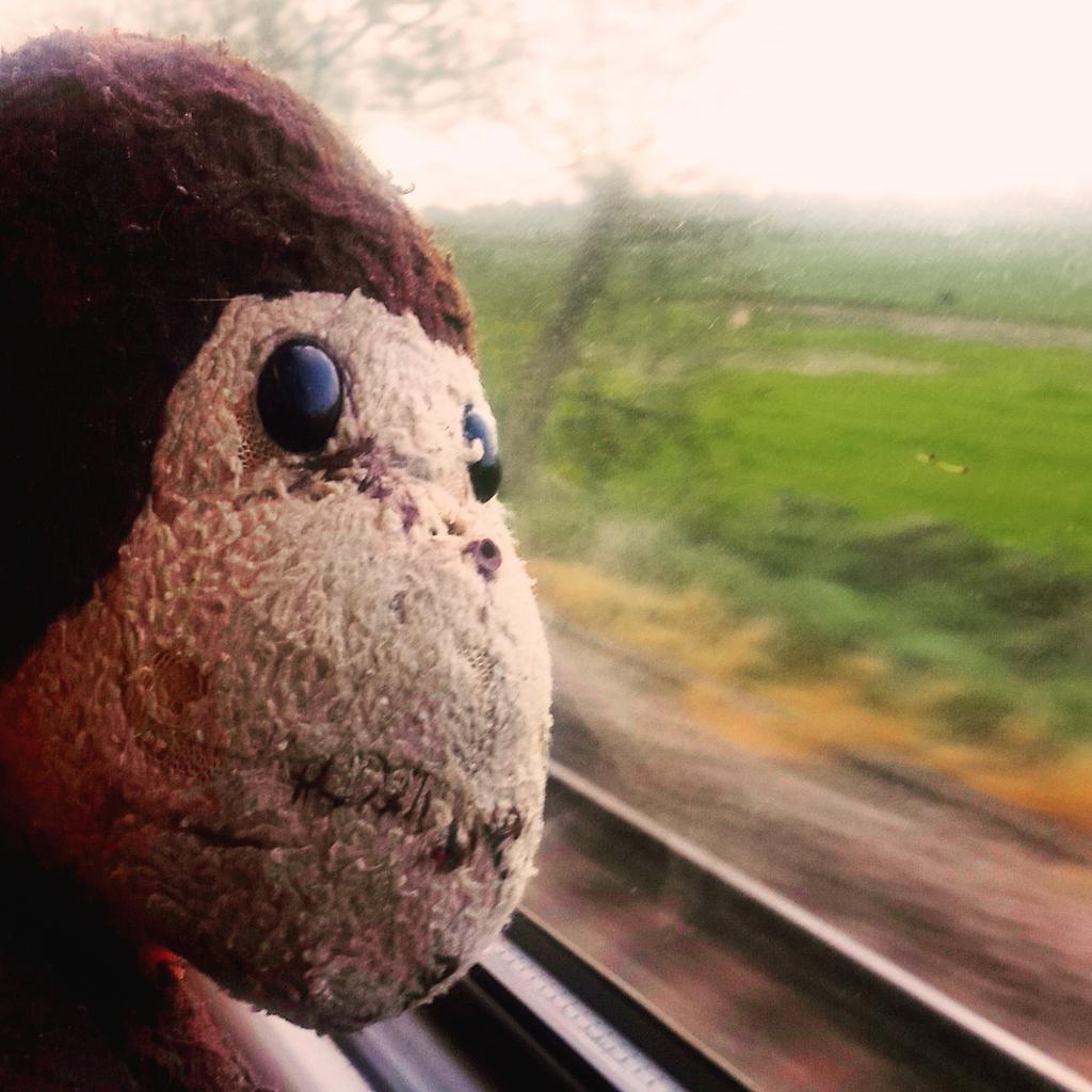 JakeTrickEvans's tweet photo. Trick the monkey... My furry companion to Montgomery Primary Academy today #storytelling #monkeybusines #oldtimer http://t.co/GDANQ8rvUC