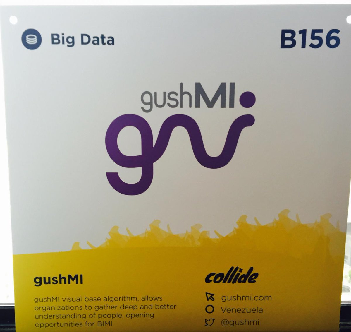 gushmi's tweet photo. #CollisionConf @gushmi http://t.co/ZiVD5ZOCt0