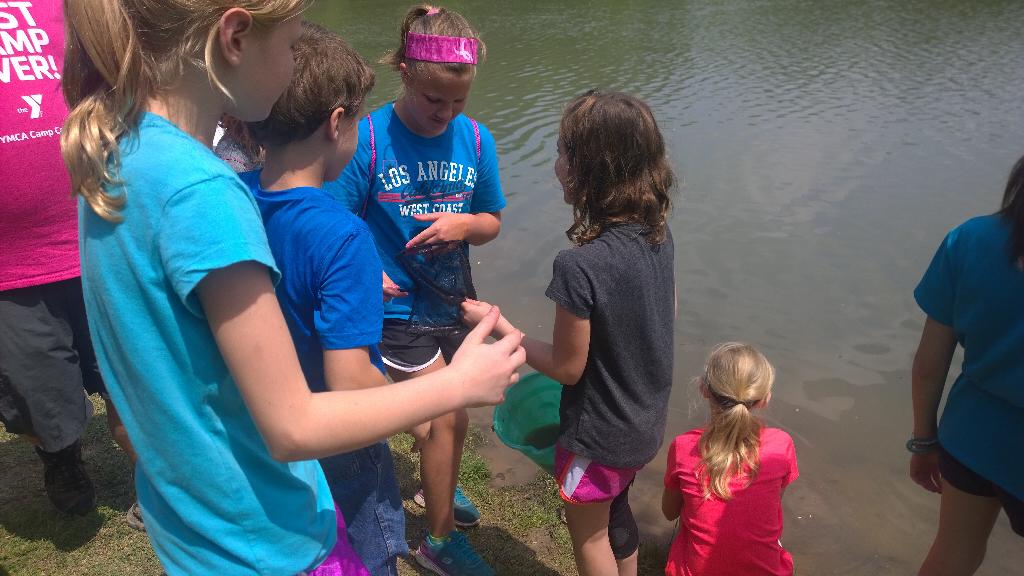 cnetzer's tweet image. #heartofheritage. Aquatic study😊