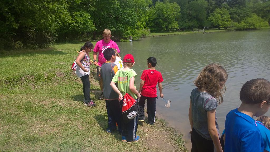 cnetzer's tweet image. #heartofheritage. Aquatic study😊