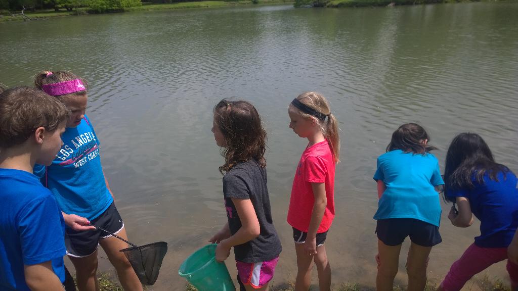 cnetzer's tweet image. #heartofheritage. Aquatic study😊