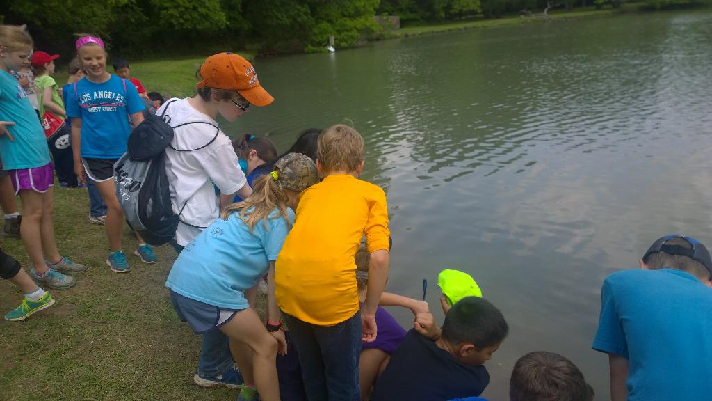 cnetzer's tweet image. #heartofheritage. Aquatic study😊