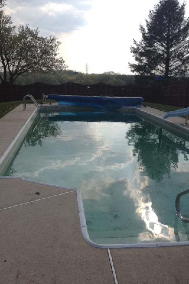 tubatuber's tweet image. the cover is off!!! #openpool #notswimsuitready