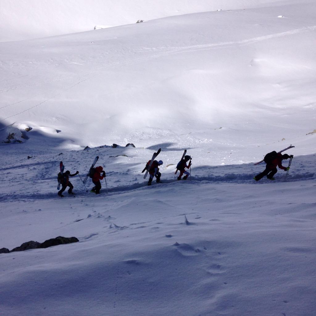 team_fully's tweet image. Arolla !!!!