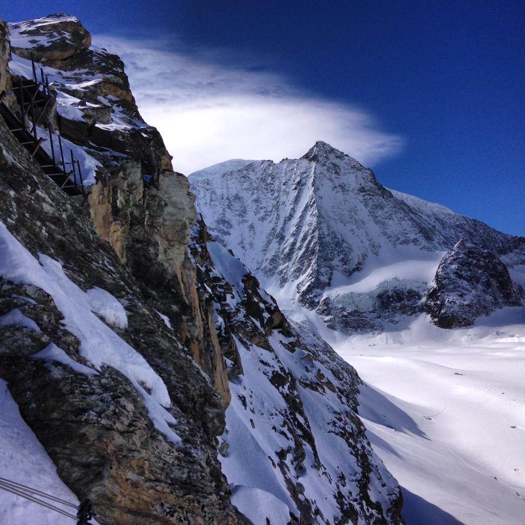 team_fully's tweet image. Arolla !!!!