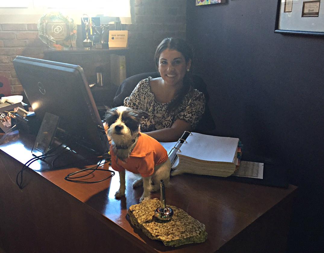 Pearl staking her claim on <a href="/Kella421/">Kella Pietro</a>'s desk!
#QueenOfTheCastle, #spoiled, #dogfriendly