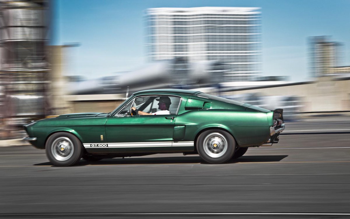 dailymustangs tweet picture