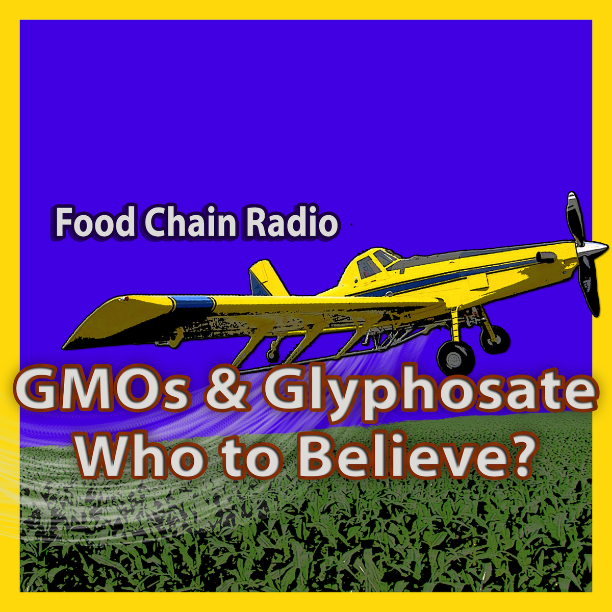 MichaelKOlson's tweet photo. #Glyphosate and #GMOs WHO TO BELIEVE? Area greater than China or U.S. planted in GMOs. SAT 9AM http://t.co/Z7llzEWXON http://t.co/EadnPdAvqh