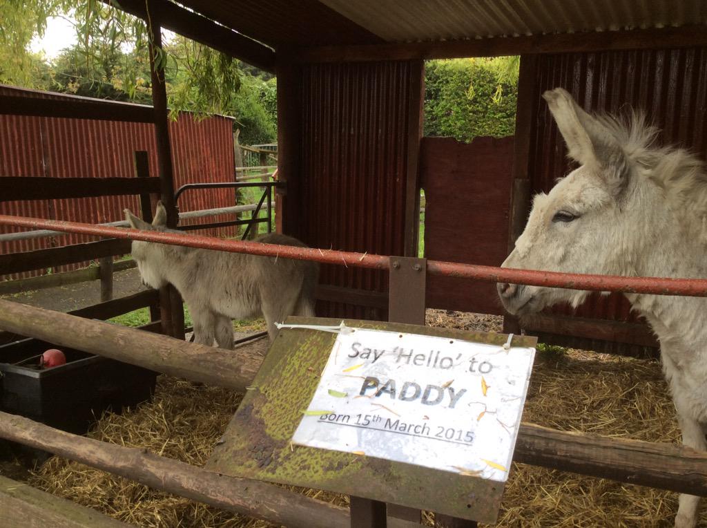 GreenAcresAnimalPark tweet media