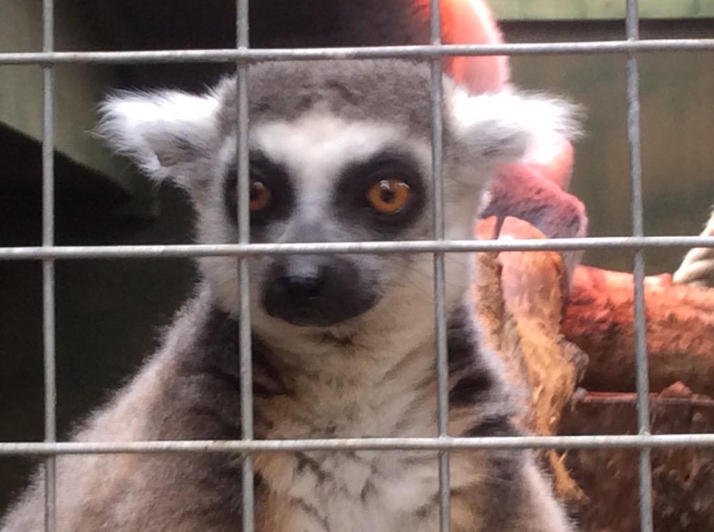 GreenAcresAnimalPark tweet media