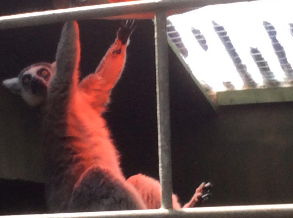 GreenAcresAnimalPark tweet media