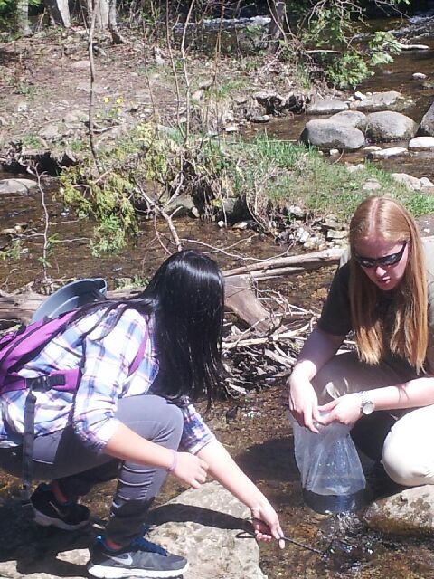TDSBScience's tweet image. GHCI, Jefferys, Western TCS students released Atlantic Salmon raised in their classrooms at Belfountain CA