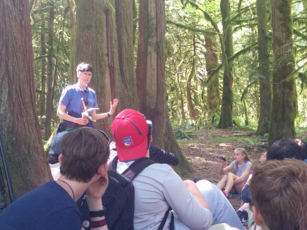 Culturally modified cedar trees <a href="/CheakamusCentre/">Cheakamus Centre</a>