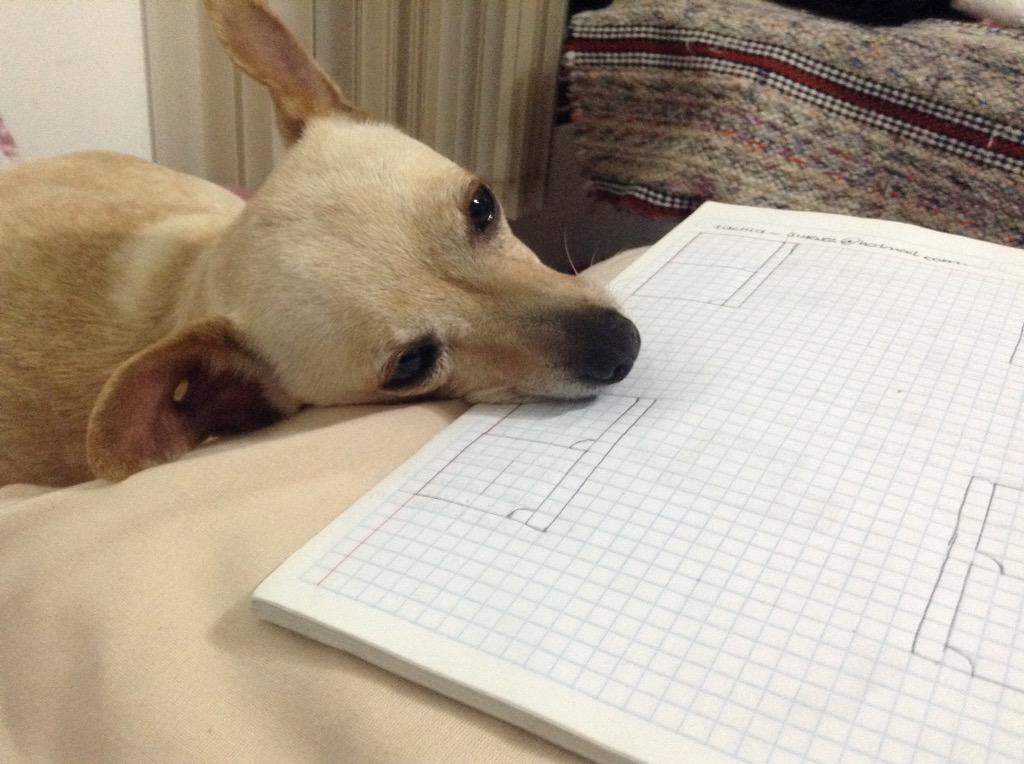 cesar millan no touch no talk no eye contact