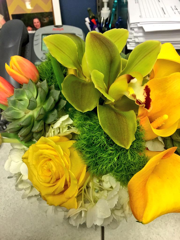 Erin_HelloDMC's tweet photo. Beautiful gift from one of our florists #hellodmc #springtimefloral #nofilter http://t.co/k8n1QL5mOA