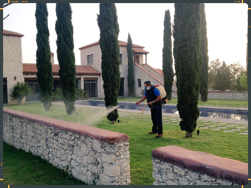 ExterPlus's tweet image. #Eventos al #AireLibre #Banquetes en #ÁreaVerde, protégelos contra #Mosquitos e #Insectos #ExterPlus #Fumigaciones