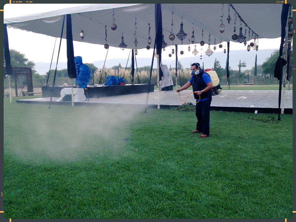 ExterPlus's tweet image. #Eventos al #AireLibre #Banquetes en #ÁreaVerde, protégelos contra #Mosquitos e #Insectos #ExterPlus #Fumigaciones
