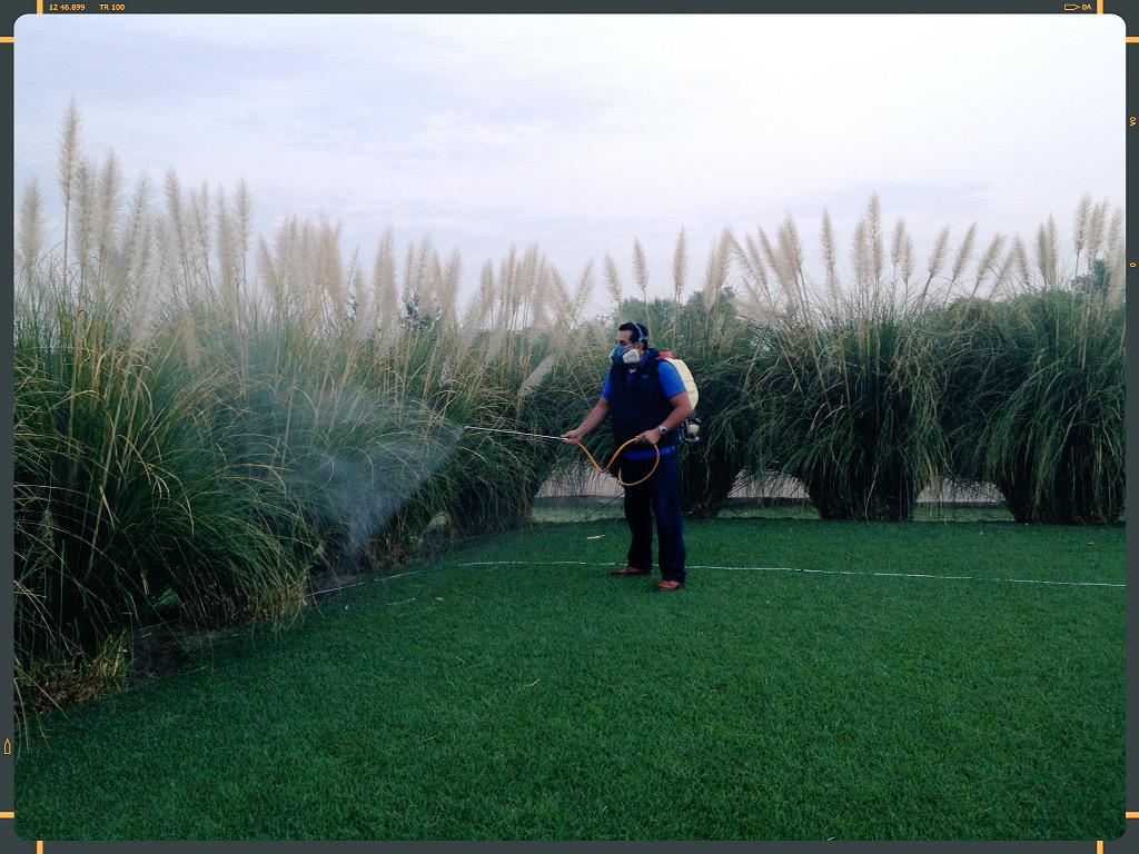 ExterPlus's tweet image. #Eventos al #AireLibre #Banquetes en #ÁreaVerde, protégelos contra #Mosquitos e #Insectos #ExterPlus #Fumigaciones