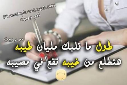 waled_ahmed233's tweet image. #LEDOO