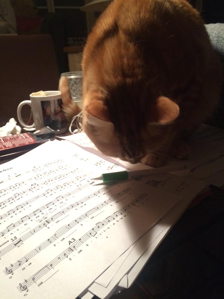 koosika's tweet photo. Practicing with Boo for #thebrazilyouneverheard at @bluewhalemusic :-) 9 pm http://t.co/43vwjk3usl