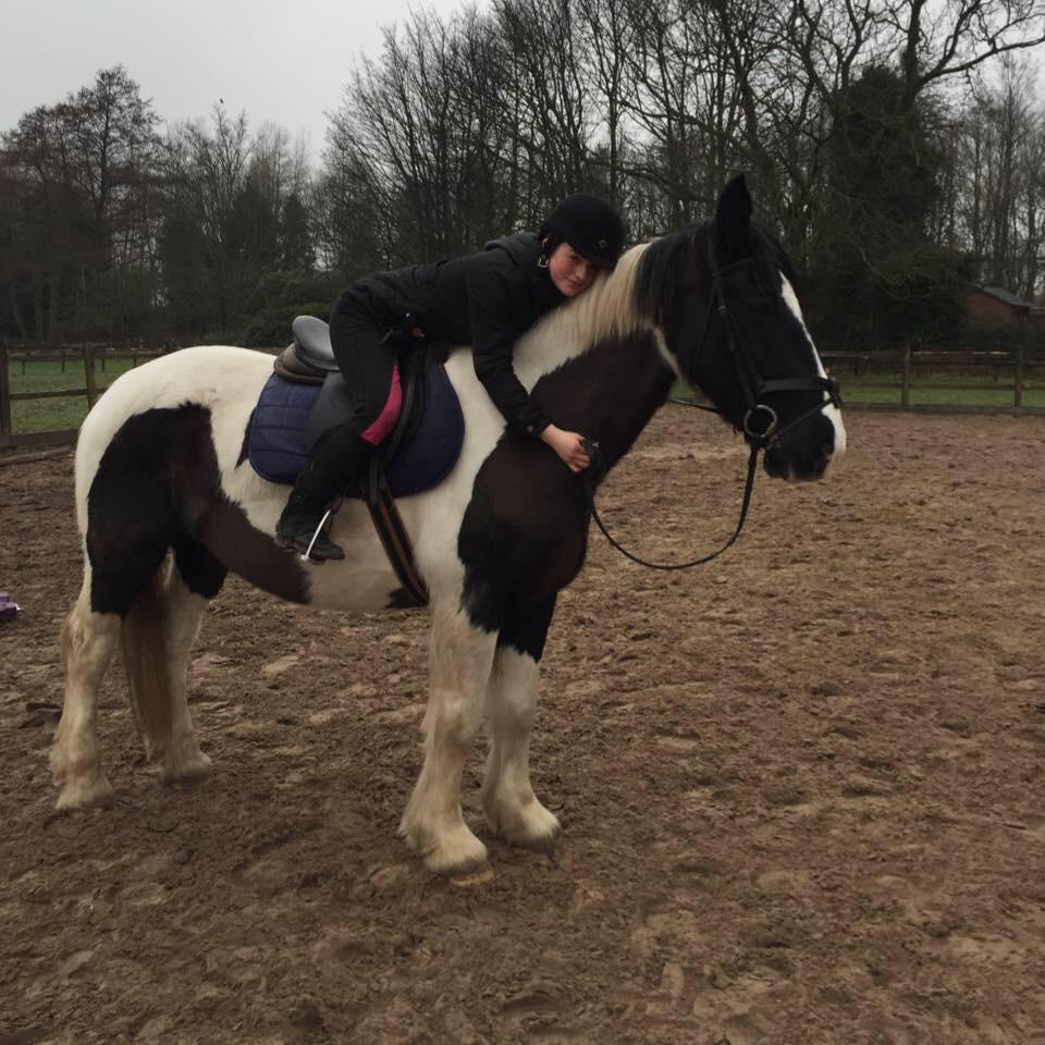 cloeusa's tweet photo. #horse #amazing #follow http://t.co/oSuBLGOLSi