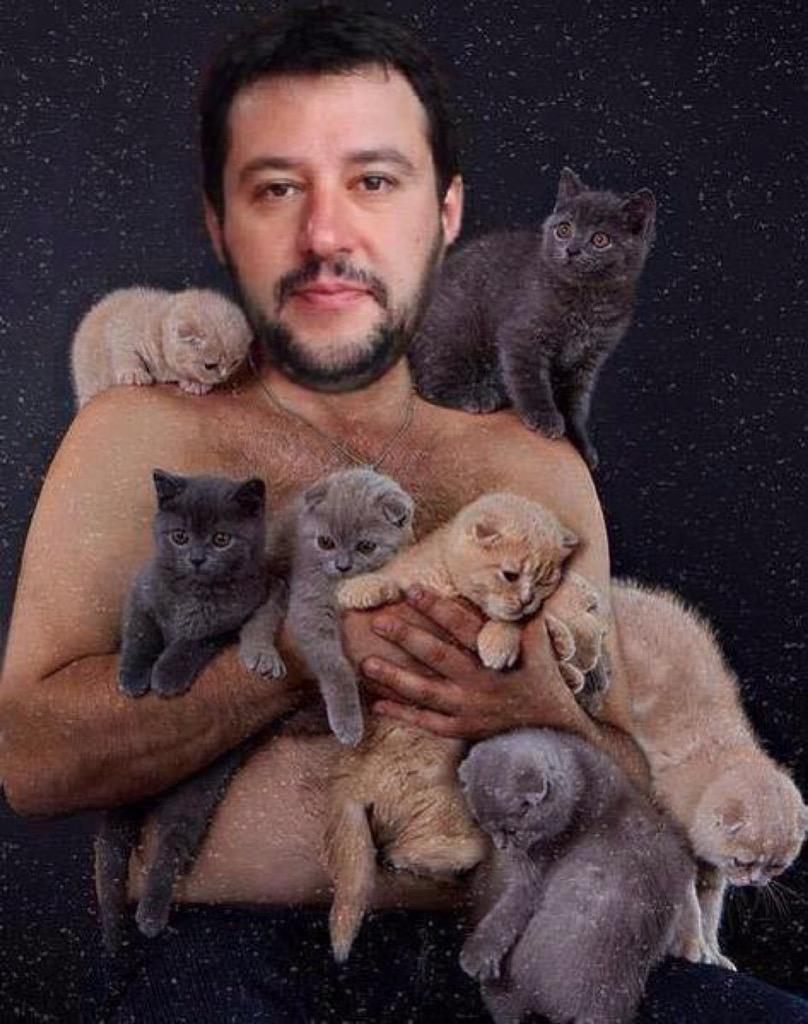 msfc2018's tweet photo. Sempre più cucciolone #Salvini #msfc http://t.co/W5zfttCCmV