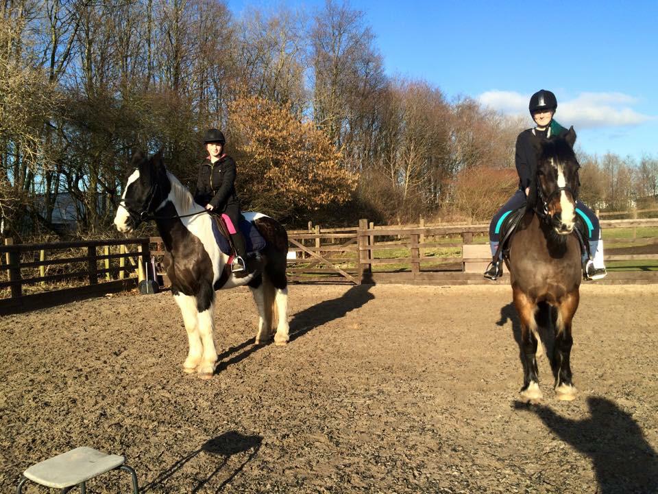 cloeusa's tweet photo. Me, Charlie and Rowan, Hollie #beautiful #cute #horse #friendship #amazing http://t.co/W3GJSJNst8