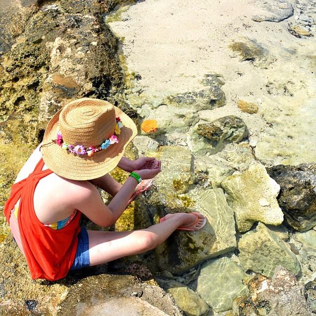 MommyMusings's tweet photo. Looking for treasure in Cozumel, Mexico. @wearefreshkids #wearefreshkids #freshmoms #naturallykids #ad http://t.co/0pN1XmZSor