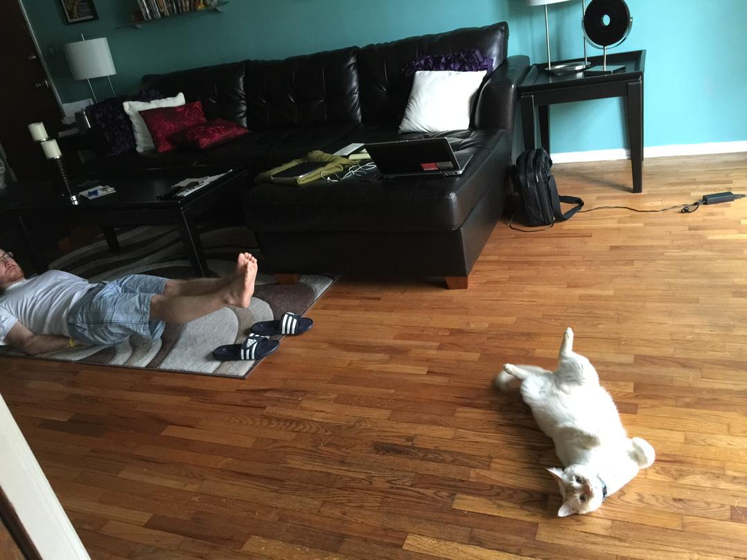 kellieaiken's tweet photo. Father-Son Abs #fluffykitty #DallasKitty #GettinReadyforSummer #BeachBod http://t.co/zu0KFOOa5Q