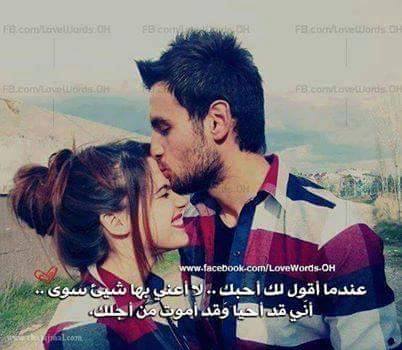 waled_ahmed233's tweet image. #LEDOO