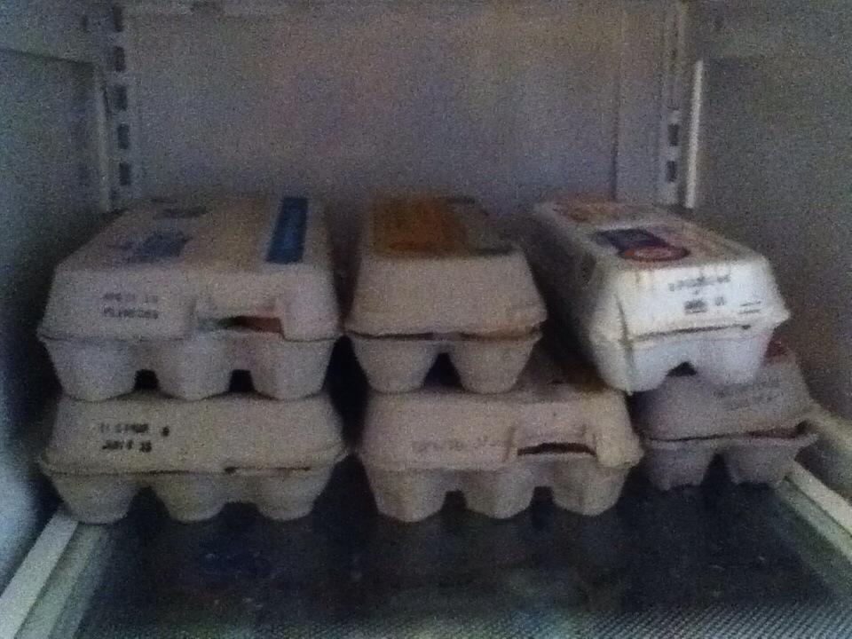 samsilvs5's tweet photo. These are all completely filled..#thankschickens http://t.co/3po2CJK0Ca