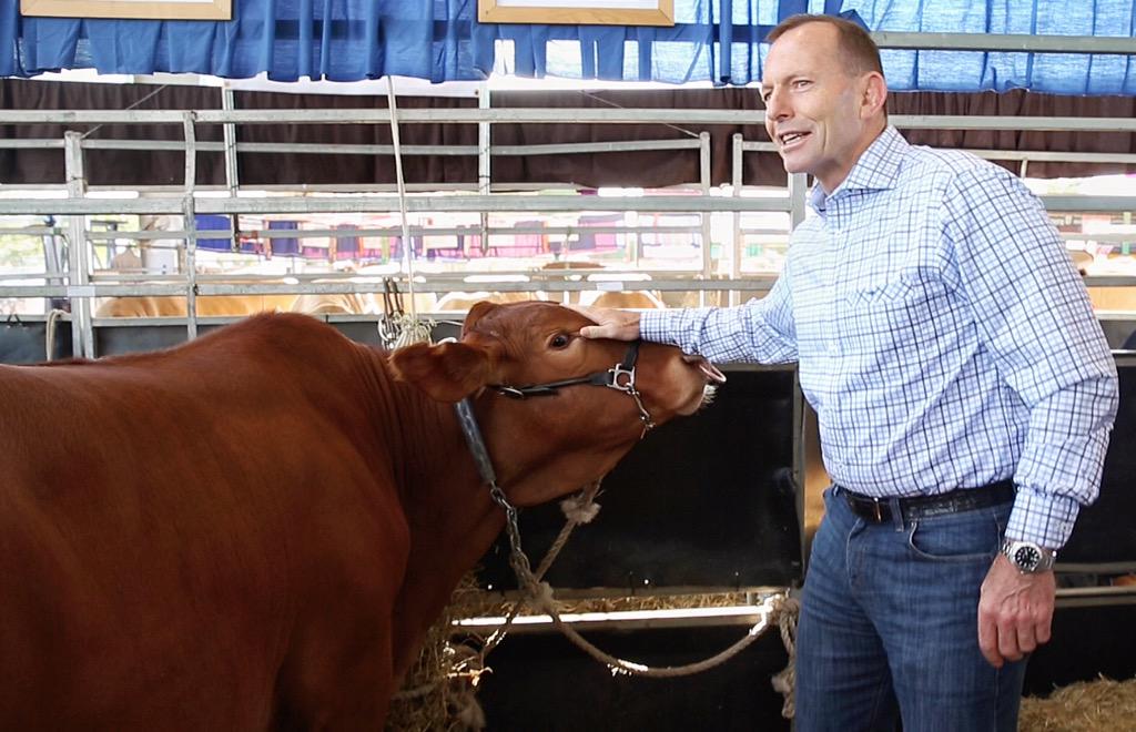 Tony Abbott tweet media