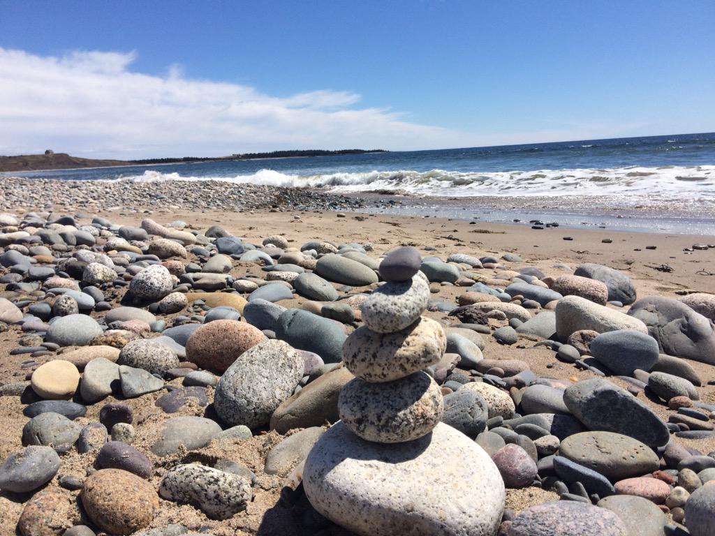 BradleysPerson's tweet image. #first2spring