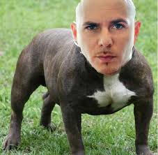 SimplyPitbull's tweet photo. http://t.co/85oZhv6CQr