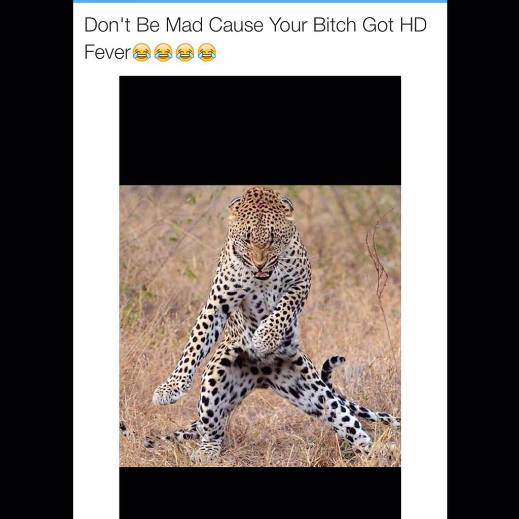 HdMikey1080's tweet photo. They got a cheetah doing the #HDFEVERCHALLENGE ๐๐๐๐ http://t.co/R8PR0kQCY6