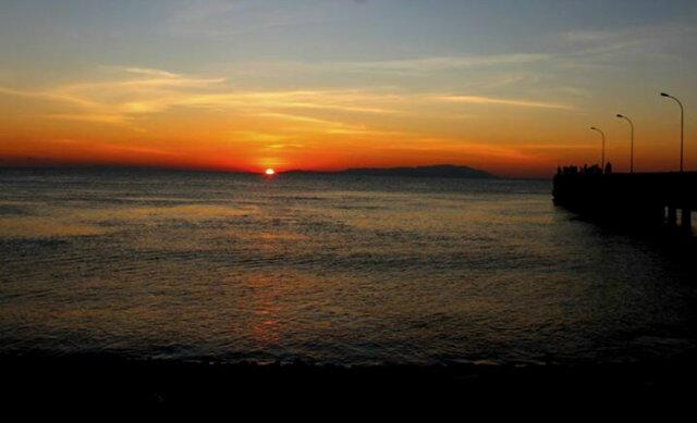 #ZOOMALOR tweet media