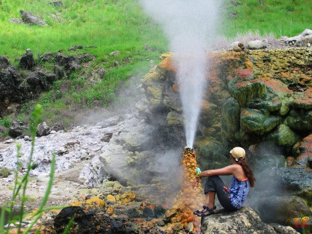 #ZOOMALOR tweet media