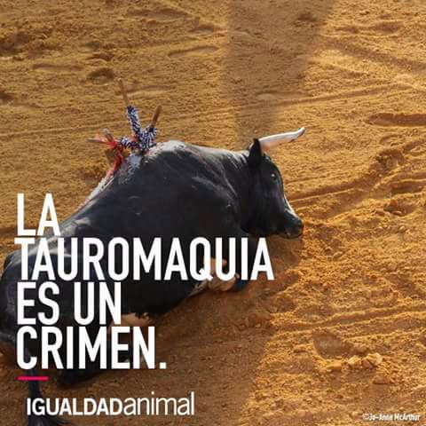 vs_mirna's tweet photo. Esto no es arte ni cultura 
es solo una forma de matar y maltratar animales 
#AltoALaFiestaTaurina http://t.co/X06X3cgFMt