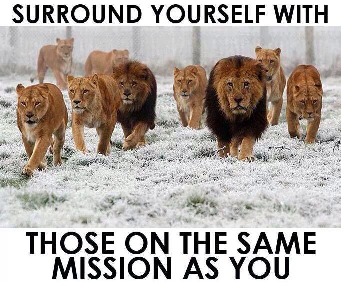 Our mission is to as a TEAM, not individuals, win back this CITY. Get on board.   <a href="/moorelion_fb/">Moore Lion Football</a> <a href="/MHSTheJungle/">The Jungle</a> <a href="/MHS_AA/">Moore Alumni</a>