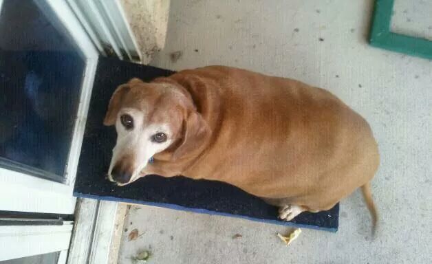 Lookin at pics of my Buddy boyo  and almost didn't cry...I   miss you😢 http://t.co/vWZKhVICPG