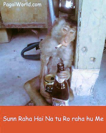 gggcc36's tweet image. 