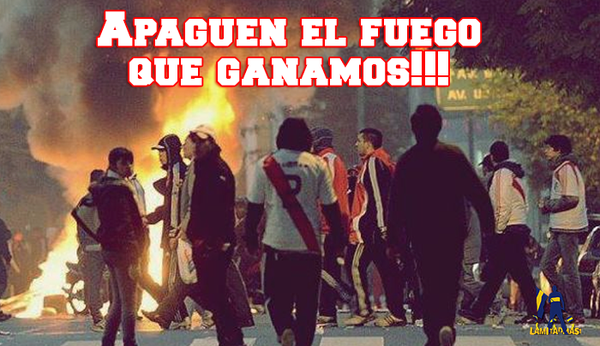 SoyArgen's tweet photo. Las gallinas ahora http://t.co/SqEeSJFZv2