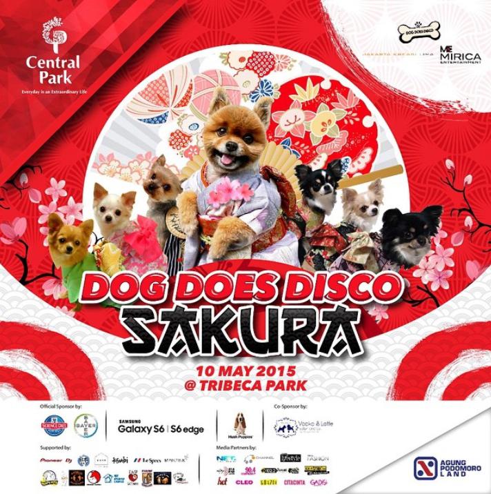 cleo_ind's tweet photo. Bring your Dog to #DogDoesDisco2015 8-10 May @CentralParkMall @DogDoesDisco http://t.co/ozOr7E16fF