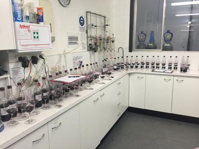 MtPleasantWines's tweet photo. Intermission. Blending the #HV2014 reds. Exciting times! http://t.co/JhpRuet1sf