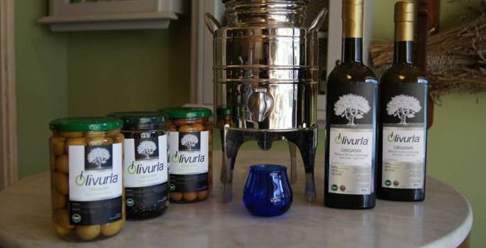 Turla, organik zeytini 'güneş' ile sıkıyor
kobiden.com/turla-organik-…