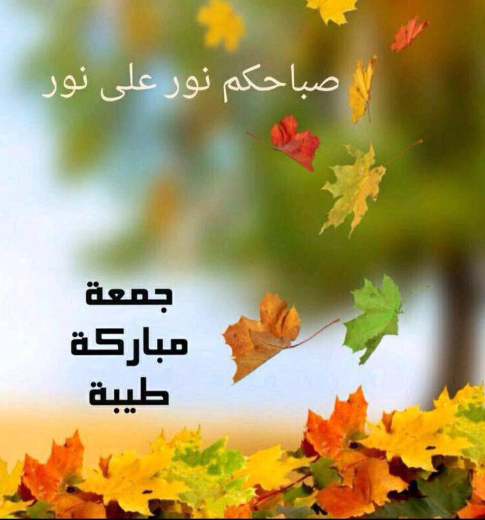 SSrm24 tweet picture