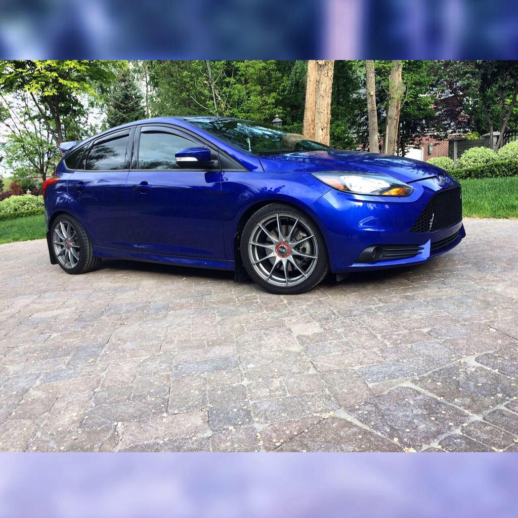USDMSQWAAD's tweet photo. 😍😍😍😍😍 Owner: @Gannon_Glaittli http://t.co/iS3nQQUtsp