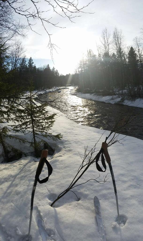 NeptunNajaderna's tweet photo. Vi har fått en vårhälsning från Gällivare av ledare Wickman. En halv meter snö!  #nuärdetvår http://t.co/h5TGeMqUWu